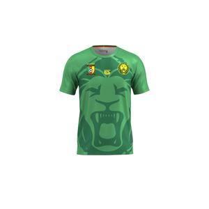 417-ri15033-01-m-s-25-t-shirt-kamerun-2025-26-gron