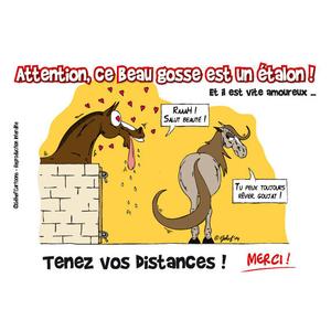 fr8plj009fr-humoristisk-vacker-hjartplakett-fr8man-brun-tu