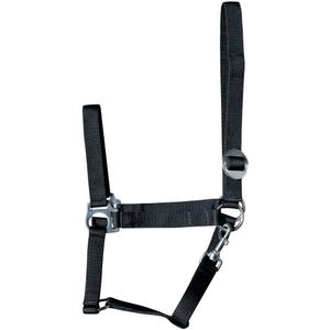 31000925-zwart-halster-for-hast-harry-s-horse-economy-svart