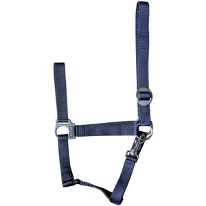 31000925-navy-halster-for-hast-harry-s-horse-economy-marinbla