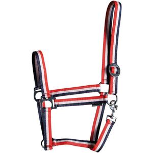 31000925-rood-wit-blauw-halster-for-hast-harry-s-horse-economy-rood-wit-blauw
