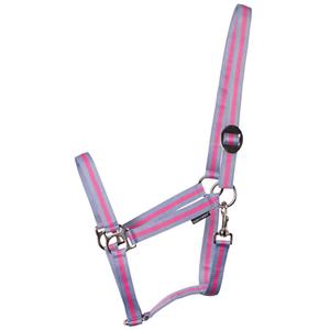 31000925-lichtblauw-roze-lichtblauw-halster-for-hast-harry-s-horse-economy-lichtblauw-roze-lichtblauw