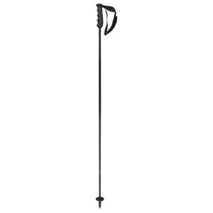 381784-skidstavar-head-porsche-kolfiber-svart-vit