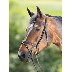 hfi015br-trans-for-ridning-hfi-soft-brun