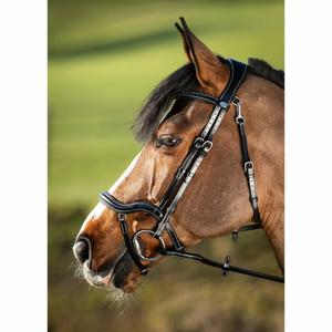 hfi016bk-trans-for-ridning-hfi-techno-svart