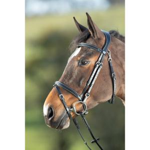 hfi003bk-trans-for-ridning-hfi-functional-svart