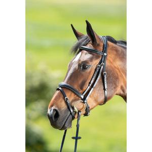 hfi013bk-trans-for-ridning-hfi-technical-svart