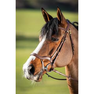 hfi016br-trans-for-ridning-hfi-techno-brun