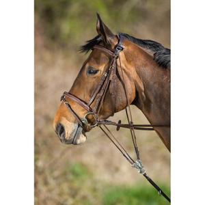 sam323br-gogue-for-hast-hfi-brun