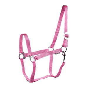 180185-23-halstrar-for-hastar-horka-drew-roze