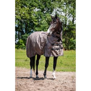 505840589-hasthalsskydd-horseguard-600d-100g-falk