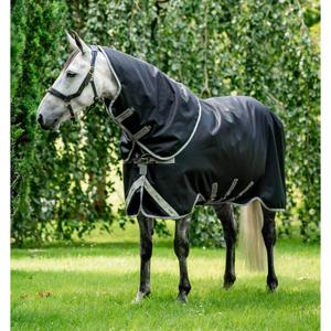 aarp72-kji0-66-hasttacke-for-utomhusbruk-med-nackskydd-horseware-amigo-1200d-plus-turnout-250g-black-titanium-grey-silver