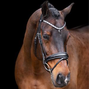 ho40323005-9545-trans-for-ridning-imperial-riding-olympia-svart-silver