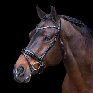 ho40323005-9584-trans-for-ridning-imperial-riding-olympia-svart-roseguld
