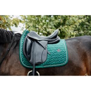 42579-73-sj-cso-mattor-kentucky-morkgron-full