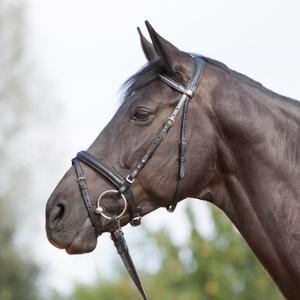 384-54415-384-51980-engelsk-kombinerat-ridtrans-kieffer-ultrasoftr-svart-svart-fodrad