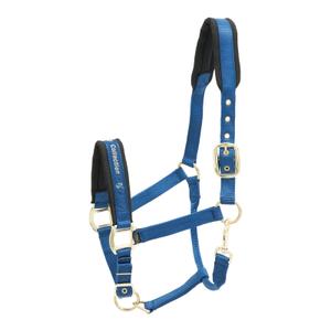 553-1540-hastgrimma-i-nylon-kieffer-collection-bla