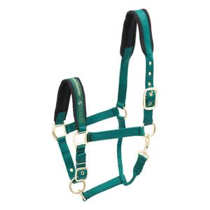 553-1541-hastgrimma-i-nylon-kieffer-collection-gron