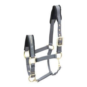 553-1541-hastgrimma-i-nylon-kieffer-collection-gra