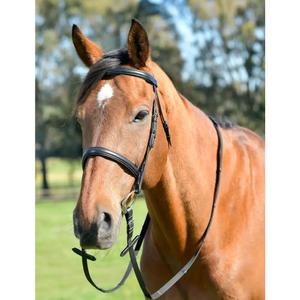 1025204001-cavecon-for-hast-med-tyglar-kincade-classic-svart