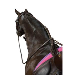 220937-storningsskyddsrem-for-hast-kincade-poly-svart-tu