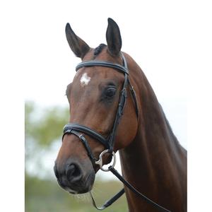 228373-trans-for-ridning-kincade-flash-svart