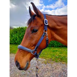 lwhnbf-ladergrimma-for-hast-km-elite-luxury-version-marinbla-svart
