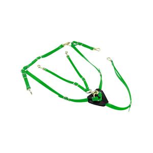 lk3036-light-green-biothane-hasthalster-med-martingal-lakota-ljusgron-tu