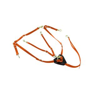 lk3036-orange-biothane-hasthalster-med-martingal-lakota-apelsin-tu