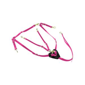 lk3036-pink-biothane-hasthalster-med-martingal-lakota-rosa-tu