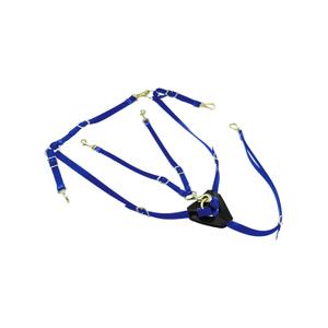 lk3036-royal-blue-halsband-i-biothane-med-martingal-for-hast-lakota-kungligt-bla-tu