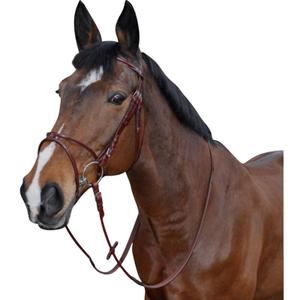 121130-camel-trans-for-rundridning-atlanta-lexington-kamel