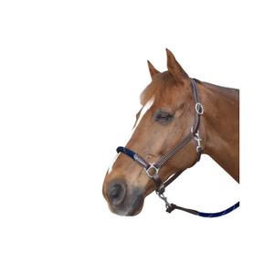 119522-marron-marron-laderhalare-med-rep-canter-brun-brun