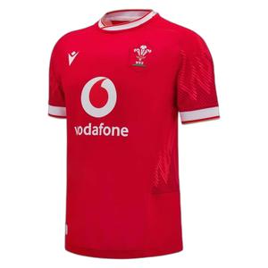 60004631-hemmatroja-pays-de-galles-6-nations-2024-25-rod-vit