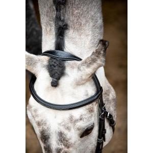63001-4-ridtrans-i-vegansk-lader-montar-hunter-eco-svart