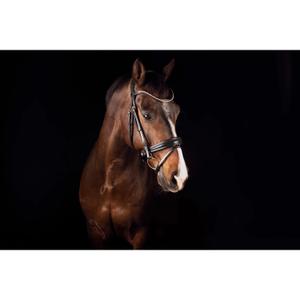1563-001-trans-for-hastar-mrs-ros-deluxe-svart