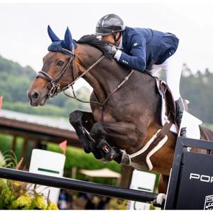black-horse-f-m-ridhandskar-for-kvinnor-ngb-sport-svart-m