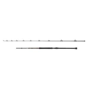 1620470-batstang-penn-regiment-iv-20-30lb-silver-2-10-m
