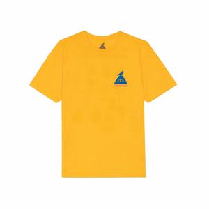 233clm2003-gld-t-shirt-poler-protect-guld