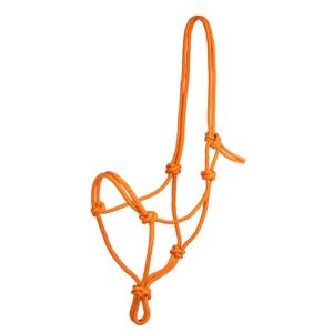 ca00129-orange-knotty-hastgrimskaft-pool-s-apelsin-tu