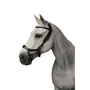 p700-zw-trans-for-ridning-presteq-faysport-svart