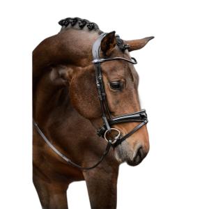 1210-020-996-ridtrans-ps-of-sweden-gp-black-lacquer