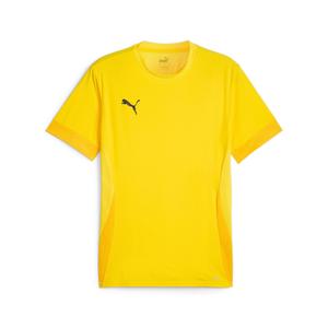 705747-07-jersey-puma-teamgoal-gul