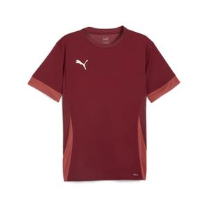 705747-09-jersey-puma-teamgoal-rod