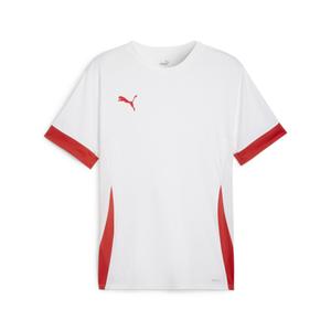 705747-11-jersey-puma-teamgoal-vit