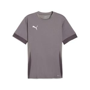 705747-13-jersey-puma-teamgoal-matchday-gra