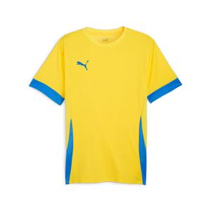 705747-17-jersey-puma-teamgoal-gul
