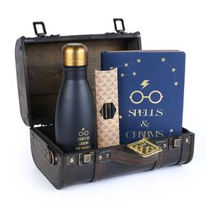gp85536-box-pyramid-harry-potter-trouble-finds-me-bla-tu