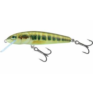 qmw027-flytande-lockbete-salmo-minnow-6g-mangfargad-7-cm