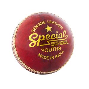 ctb108y-cricketboll-for-barn-readers-special-school-rod-tu